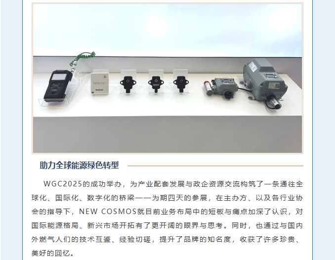賦能可持續(xù)未來！熱烈慶賀新宇宙集團WGC2025參會圓滿成功！(圖8)